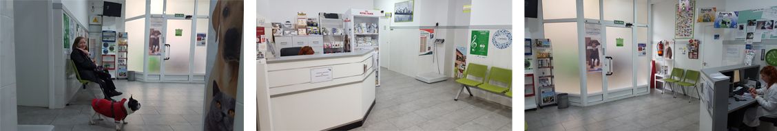Clínica Veterinaria Martín Molina veterinaria en el interior