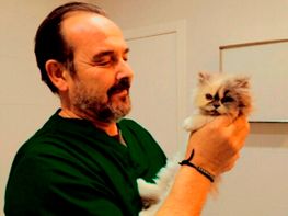 Clínica Veterinaria Martín Molina veterinario con gato